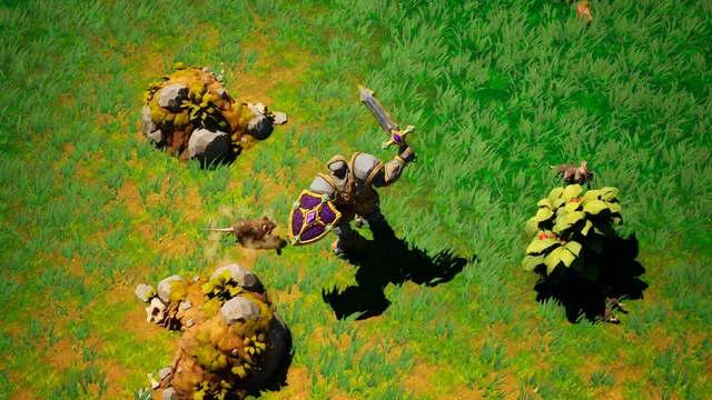Zrzut z gry ShardHeart